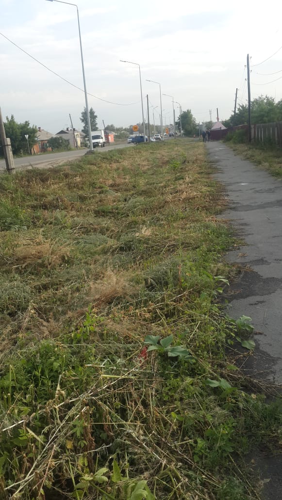WhatsApp_Image_2019-07-25_at_08.58.34