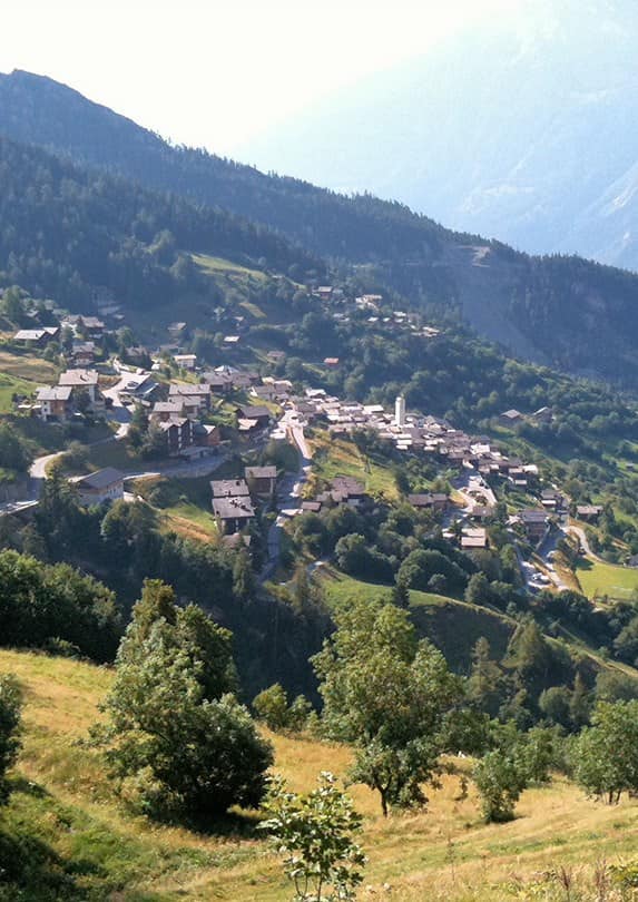 Albinen-SHvejtsariya-min