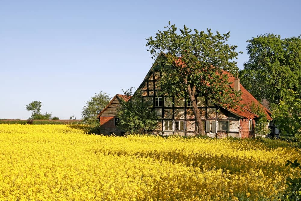 Ottenshtejn-Germaniya-min